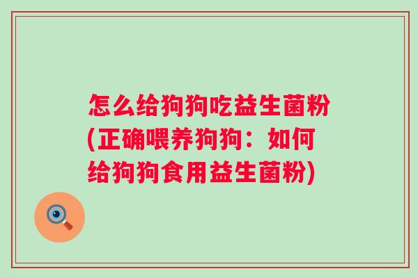 怎么给狗狗吃益生菌粉(正确喂养狗狗：如何给狗狗食用益生菌粉)