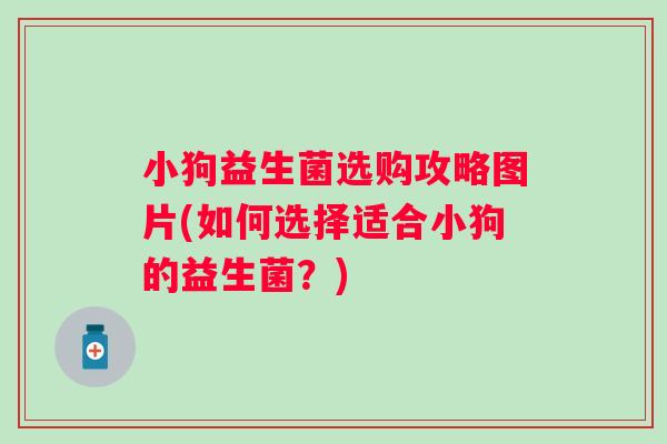 小狗益生菌选购攻略图片(如何选择适合小狗的益生菌?) 小狗益生菌选购攻略图片(如何选择适合小狗的益生菌?)