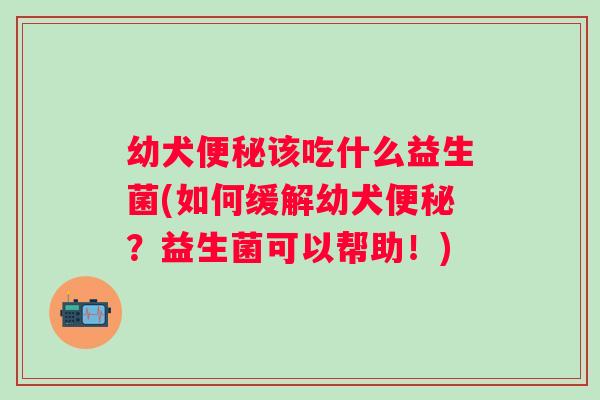 幼犬便秘该吃什么益生菌(如何缓解幼犬便秘？益生菌可以帮助！)
