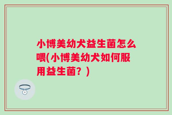 小博美幼犬益生菌怎么喂(小博美幼犬如何服用益生菌?) 小博美幼犬益生菌怎么喂(小博美幼犬如何服用益生菌?)