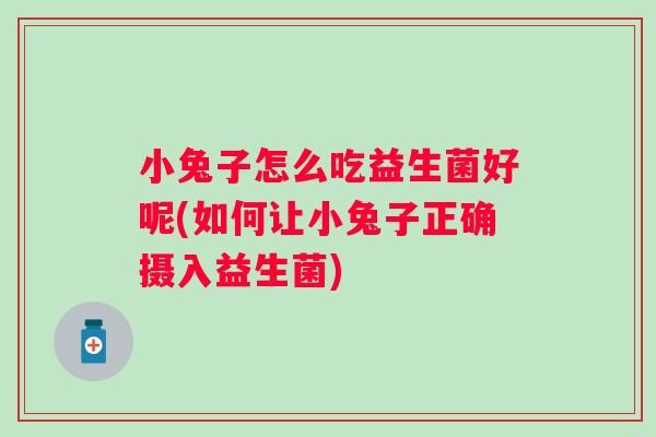 小兔子怎么吃益生菌好呢(如何让小兔子正确摄入益生菌)