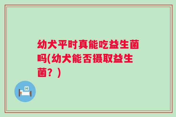 幼犬平时真能吃益生菌吗(幼犬能否摄取益生菌？)