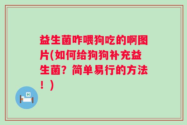 益生菌咋喂狗吃的啊图片(如何给狗狗补充益生菌？简单易行的方法！)