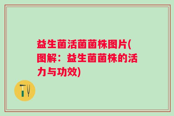 益生菌活菌菌株图片(图解：益生菌菌株的活力与功效)