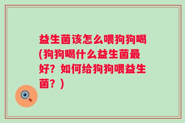 益生菌该怎么喂狗狗喝(狗狗喝什么益生菌好?如何给狗狗喂益生菌?) 益生菌该怎么喂狗狗喝(狗狗喝什么益生菌好?如何给狗狗喂益生菌?)