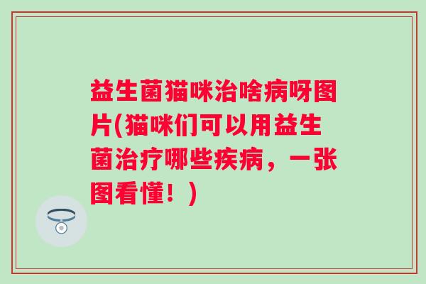 益生菌猫咪啥呀图片(猫咪们可以用益生菌哪些，一张图看懂！)