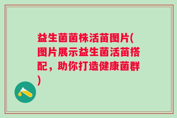 益生菌菌株活苗图片(图片展示益生菌活苗搭配,助你打造健康菌群) 益生菌菌株活苗图片(图片展示益生菌活苗搭配,助你打造健康菌群)