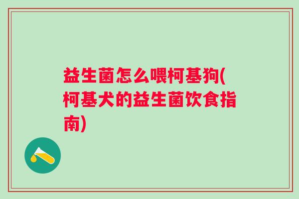 益生菌怎么喂柯基狗(柯基犬的益生菌饮食指南) 益生菌怎么喂柯基狗(柯基犬的益生菌饮食指南)