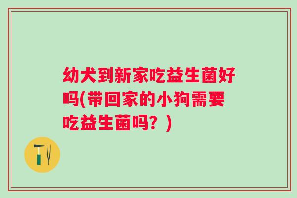 幼犬到新家吃益生菌好吗(带回家的小狗需要吃益生菌吗？)