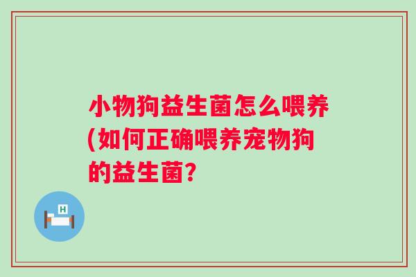 小物狗益生菌怎么喂养(如何正确喂养宠物狗的益生菌？