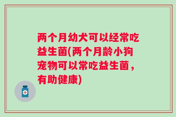 两个月幼犬可以经常吃益生菌(两个月龄小狗宠物可以常吃益生菌,有助健康) 两个月幼犬可以经常吃益生菌(两个月龄小狗宠物可以常吃益生菌,有助健康)