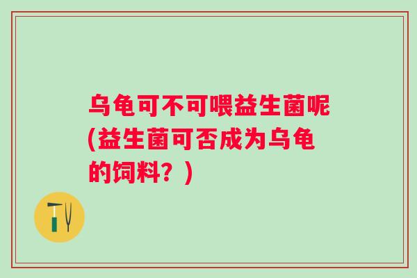 乌龟可不可喂益生菌呢(益生菌可否成为乌龟的饲料?) 乌龟可不可喂益生菌呢(益生菌可否成为乌龟的饲料?)