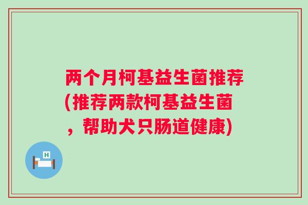 两个月柯基益生菌推荐(推荐两款柯基益生菌，帮助犬只肠道健康)