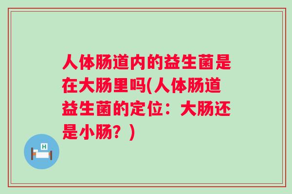 人体肠道内的益生菌是在大肠里吗(人体肠道益生菌的定位:大肠还是小肠?) 人体肠道内的益生菌是在大肠里吗(人体肠道益生菌的定位:大肠还是小肠?)