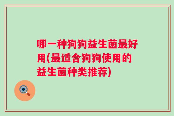 哪一种狗狗益生菌最好用(最适合狗狗使用的益生菌种类推荐)