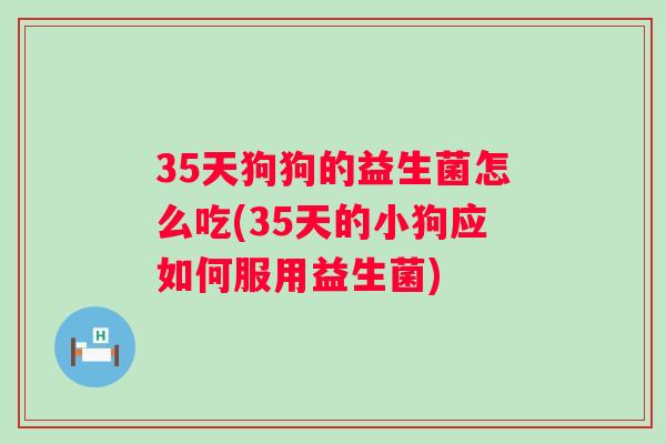 35天狗狗的益生菌怎么吃(35天的小狗应如何服用益生菌) 35天狗狗的益生菌怎么吃(35天的小狗应如何服用益生菌)