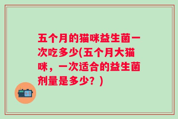 五个月的猫咪益生菌一次吃多少(五个月大猫咪,一次适合的益生菌剂量是多少?) 五个月的猫咪益生菌一次吃多少(五个月大猫咪,一次适合的益生菌剂量是多少?)