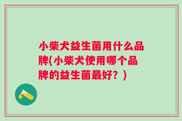 小柴犬益生菌用什么品牌(小柴犬使用哪个品牌的益生菌最好？)
