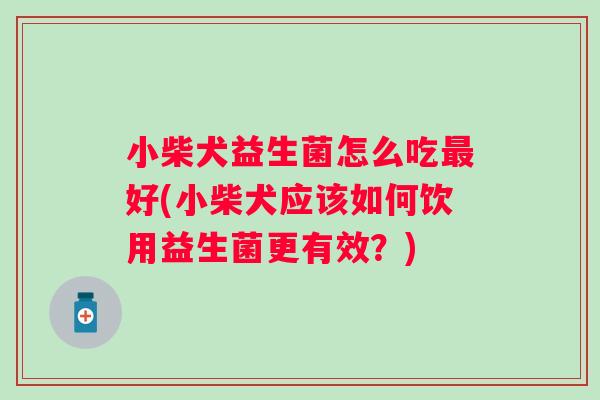 小柴犬益生菌怎么吃好(小柴犬应该如何饮用益生菌更有效?) 小柴犬益生菌怎么吃好(小柴犬应该如何饮用益生菌更有效?)