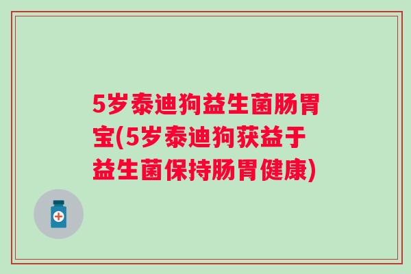 5岁泰迪狗益生菌肠胃宝(5岁泰迪狗获益于益生菌保持肠胃健康) 5岁泰迪狗益生菌肠胃宝(5岁泰迪狗获益于益生菌保持肠胃健康)
