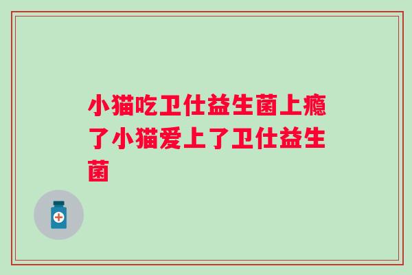 小猫吃卫仕益生菌上瘾了小猫爱上了卫仕益生菌