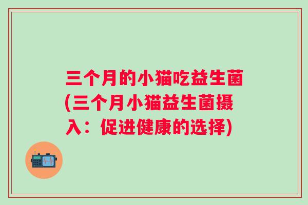 三个月的小猫吃益生菌(三个月小猫益生菌摄入：促进健康的选择)