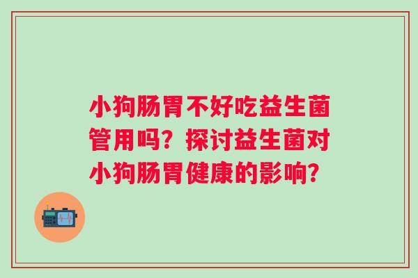 小狗肠胃不好吃益生菌管用吗？探讨益生菌对小狗肠胃健康的影响？