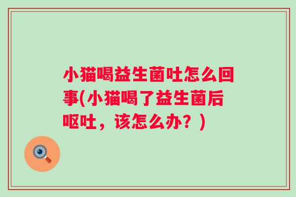 小猫喝益生菌吐怎么回事(小猫喝了益生菌后，该怎么办？)