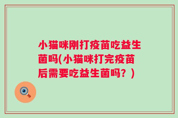 小猫咪刚打疫苗吃益生菌吗(小猫咪打完疫苗后需要吃益生菌吗?) 小猫咪刚打疫苗吃益生菌吗(小猫咪打完疫苗后需要吃益生菌吗?)