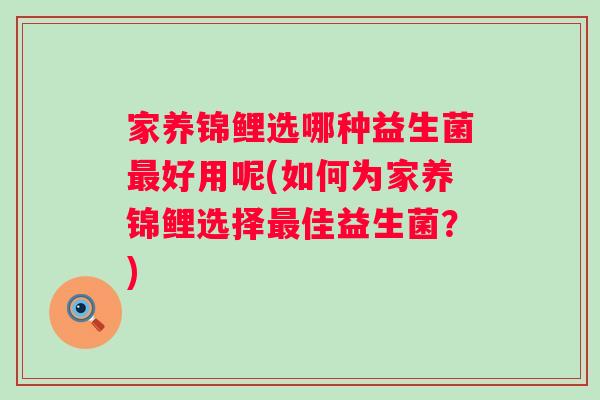 家养锦鲤选哪种益生菌好用呢(如何为家养锦鲤选择佳益生菌？)