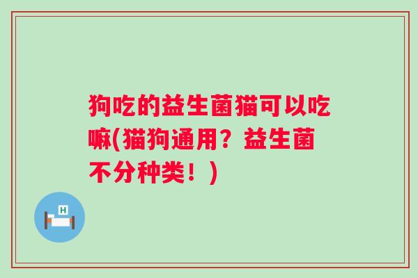 狗吃的益生菌猫可以吃嘛(猫狗通用？益生菌不分种类！)