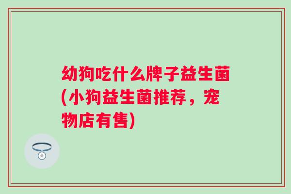 幼狗吃什么牌子益生菌(小狗益生菌推荐,宠物店有售) 幼狗吃什么牌子益生菌(小狗益生菌推荐,宠物店有售)