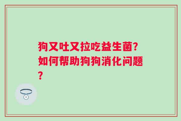 狗又吐又拉吃益生菌?如何帮助狗狗消化问题? 狗又吐又拉吃益生菌?如何帮助狗狗消化问题?