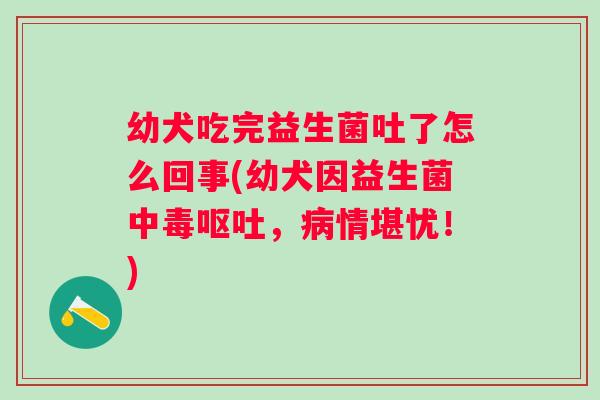 幼犬吃完益生菌吐了怎么回事(幼犬因益生菌中毒，情堪忧！)