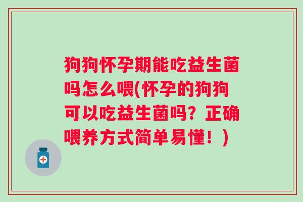 狗狗怀孕期能吃益生菌吗怎么喂(怀孕的狗狗可以吃益生菌吗？正确喂养方式简单易懂！)