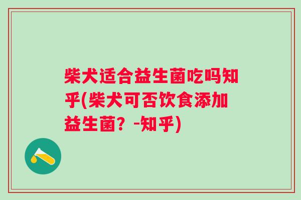 柴犬适合益生菌吃吗知乎(柴犬可否饮食添加益生菌？-知乎)