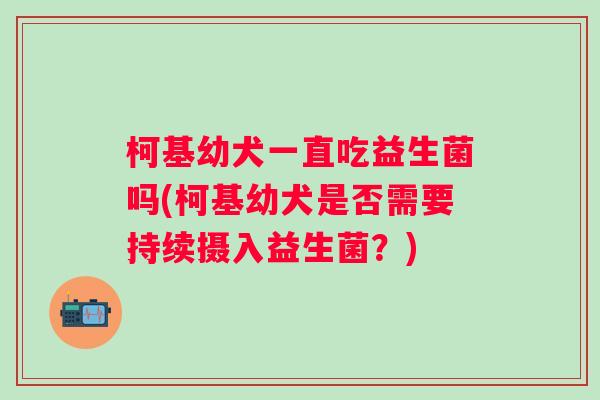 柯基幼犬一直吃益生菌吗(柯基幼犬是否需要持续摄入益生菌？)