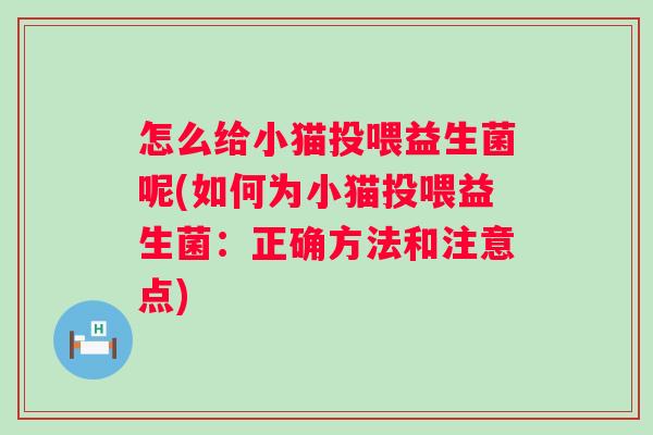 怎么给小猫投喂益生菌呢(如何为小猫投喂益生菌：正确方法和注意点)
