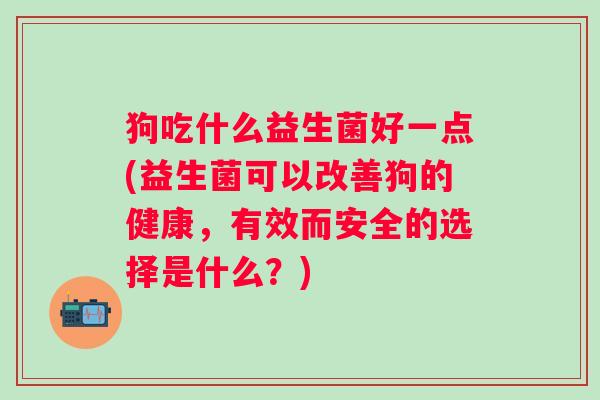 狗吃什么益生菌好一点(益生菌可以改善狗的健康，有效而安全的选择是什么？)