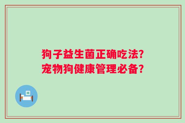 狗子益生菌正确吃法?宠物狗健康管理必备? 狗子益生菌正确吃法?宠物狗健康管理必备?