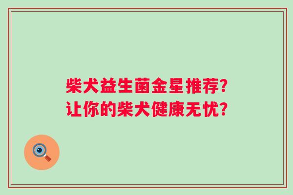 柴犬益生菌金星推荐？让你的柴犬健康无忧？