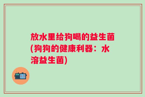 放水里给狗喝的益生菌(狗狗的健康利器:水溶益生菌) 放水里给狗喝的益生菌(狗狗的健康利器:水溶益生菌)