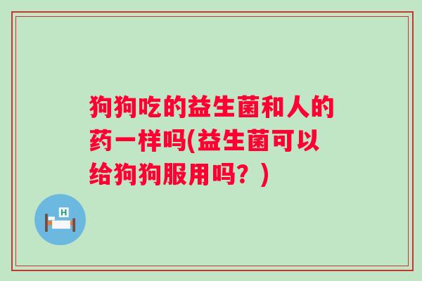 狗狗吃的益生菌和人的药一样吗(益生菌可以给狗狗服用吗?) 狗狗吃的益生菌和人的药一样吗(益生菌可以给狗狗服用吗?)