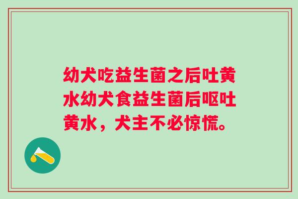幼犬吃益生菌之后吐黄水幼犬食益生菌后黄水，犬主不必惊慌。