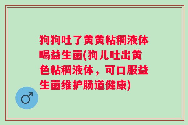 狗狗吐了黄黄粘稠液体喝益生菌(狗儿吐出黄色粘稠液体,可口服益生菌维护肠道健康) 狗狗吐了黄黄粘稠液体喝益生菌(狗儿吐出黄色粘稠液体,可口服益生菌维护肠道健康)