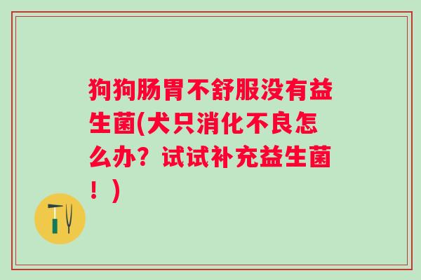 狗狗肠胃不舒服没有益生菌(犬只怎么办？试试补充益生菌！)
