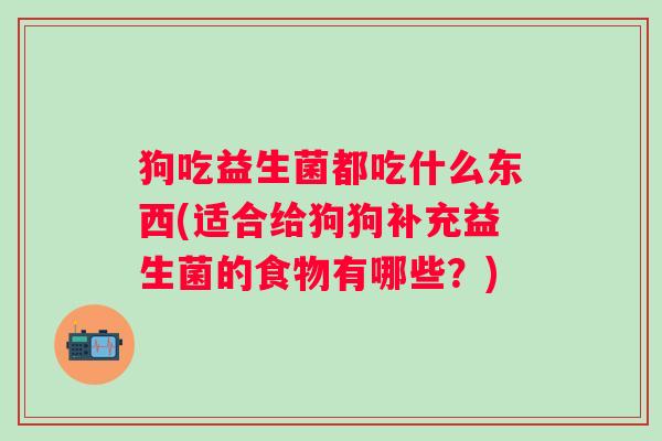 狗吃益生菌都吃什么东西(适合给狗狗补充益生菌的食物有哪些？)