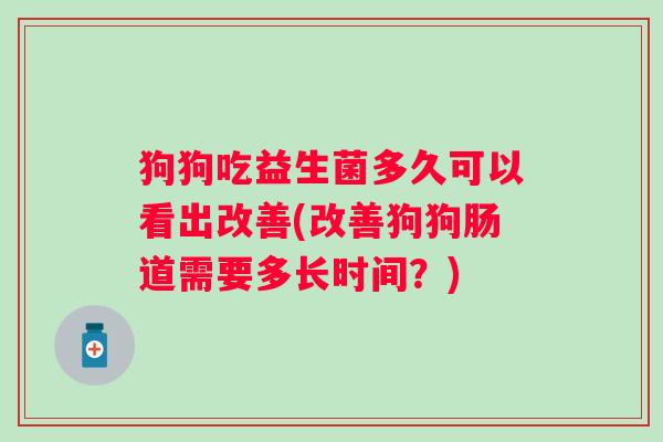 狗狗吃益生菌多久可以看出改善(改善狗狗肠道需要多长时间？)