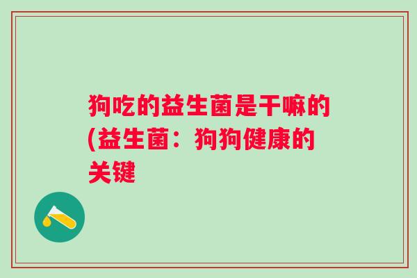 狗吃的益生菌是干嘛的(益生菌:狗狗健康的关键 狗吃的益生菌是干嘛的(益生菌:狗狗健康的关键
