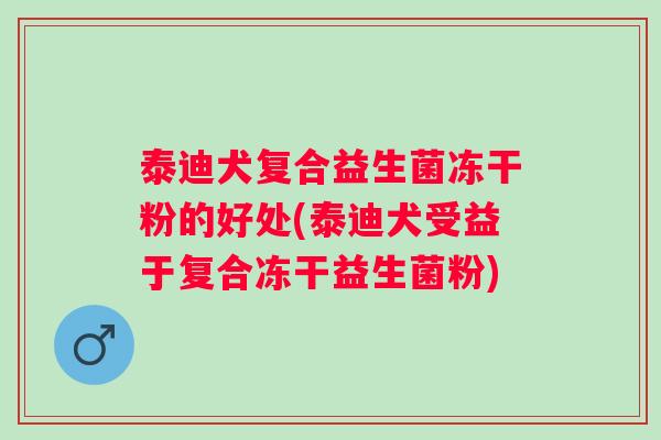 泰迪犬复合益生菌冻干粉的好处(泰迪犬受益于复合冻干益生菌粉)